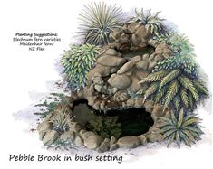 Picture of Pebble Brook