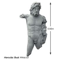 Picture of Hercules Bust